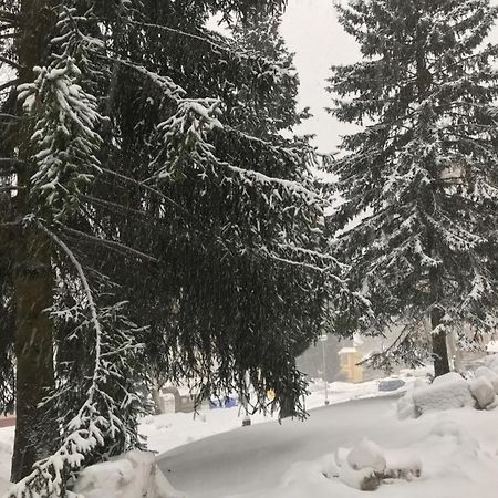 Julie 1 Lägenhet Svoboda nad Úpou Exteriör bild