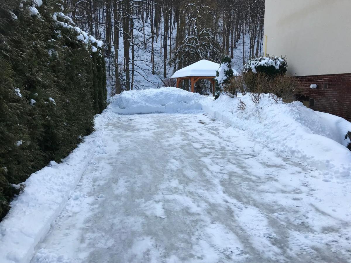 Julie 1 Lägenhet Svoboda nad Úpou Exteriör bild